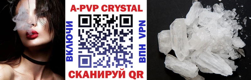 закладка Павловская А ПВП крисы CK