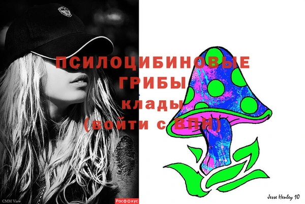 гидра Наволоки