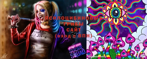 гидра Наволоки